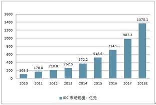 2019-2025年中國(guó)互聯(lián)網(wǎng)數(shù)據(jù)中心（IDC）市場(chǎng)深度研究與投資潛力分析報(bào)告